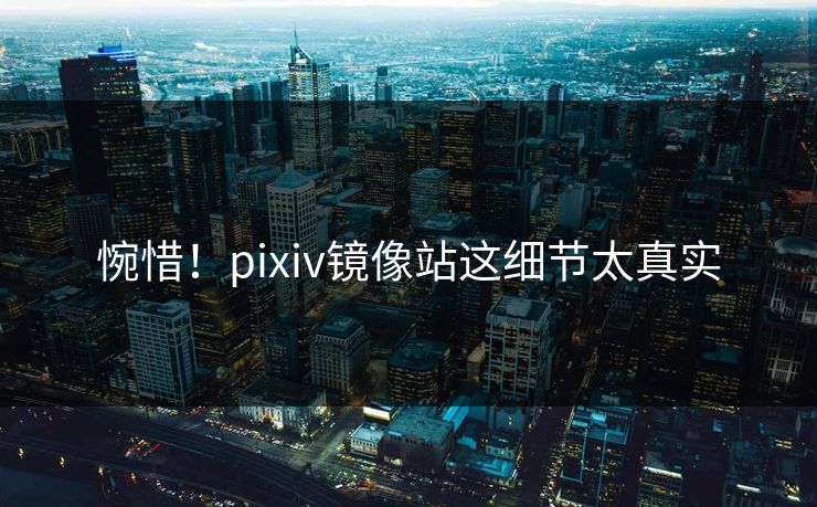 惋惜！pixiv镜像站这细节太真实