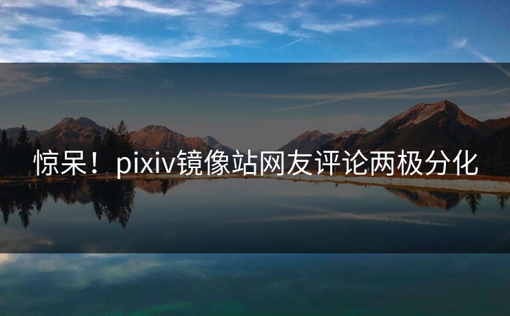 惊呆！pixiv镜像站网友评论两极分化