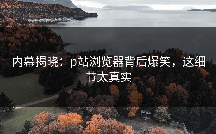 内幕揭晓：p站浏览器背后爆笑，这细节太真实