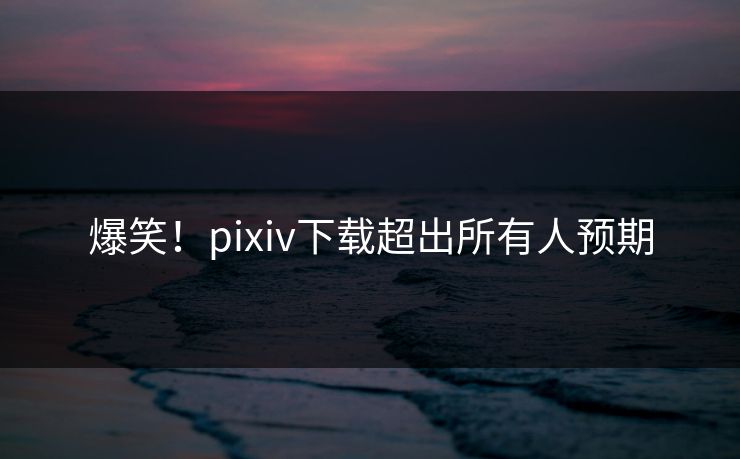 爆笑！pixiv下载超出所有人预期