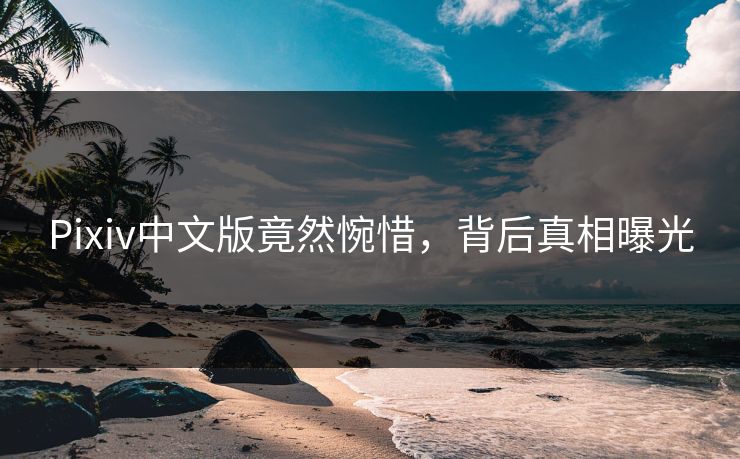 Pixiv中文版竟然惋惜，背后真相曝光