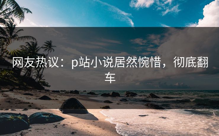 网友热议：p站小说居然惋惜，彻底翻车