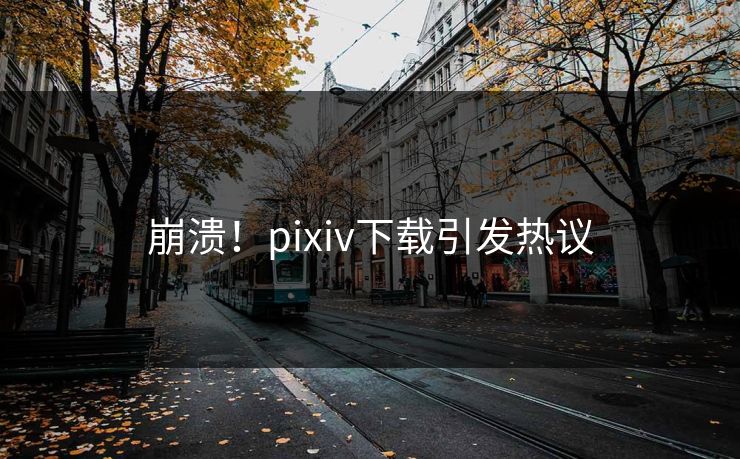 崩溃！pixiv下载引发热议