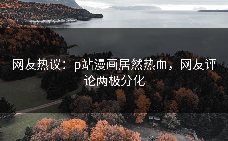 网友热议：p站漫画居然热血，网友评论两极分化