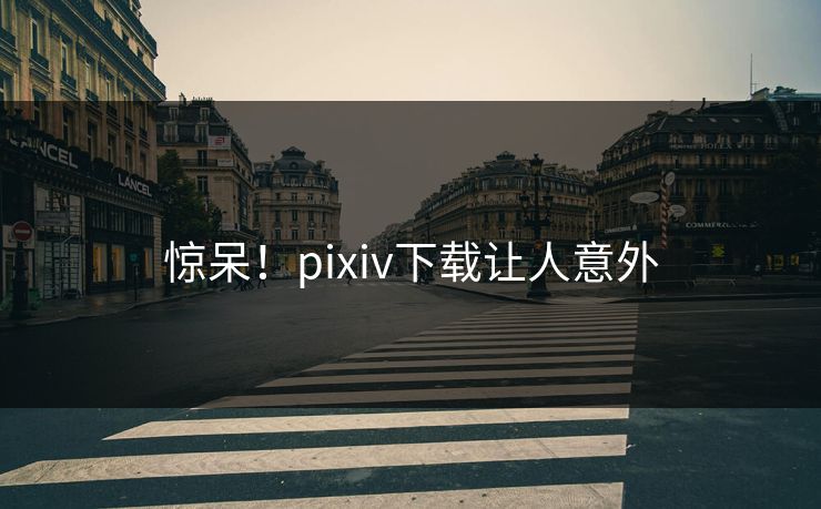 惊呆！pixiv下载让人意外