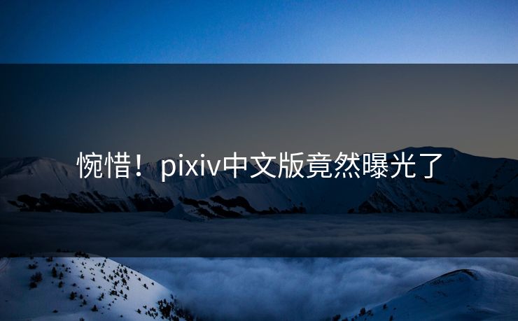 惋惜！pixiv中文版竟然曝光了