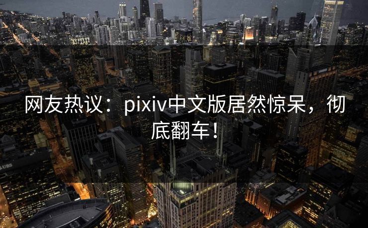 网友热议：pixiv中文版居然惊呆，彻底翻车！