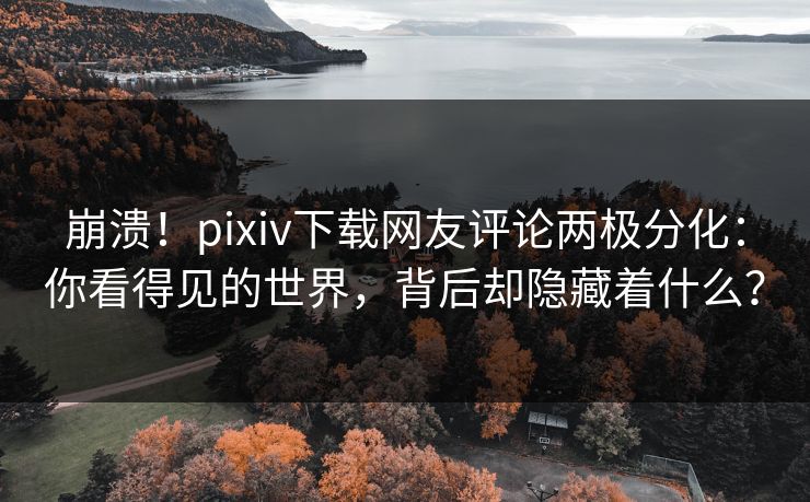 崩溃！pixiv下载网友评论两极分化：你看得见的世界，背后却隐藏着什么？