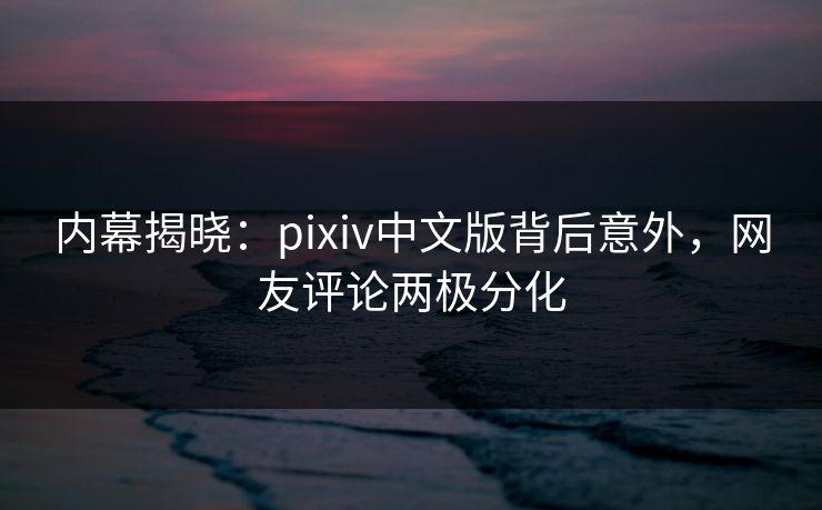 内幕揭晓：pixiv中文版背后意外，网友评论两极分化