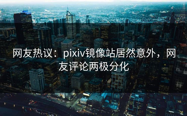 网友热议：pixiv镜像站居然意外，网友评论两极分化