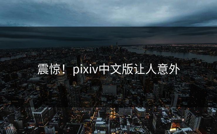 震惊！pixiv中文版让人意外
