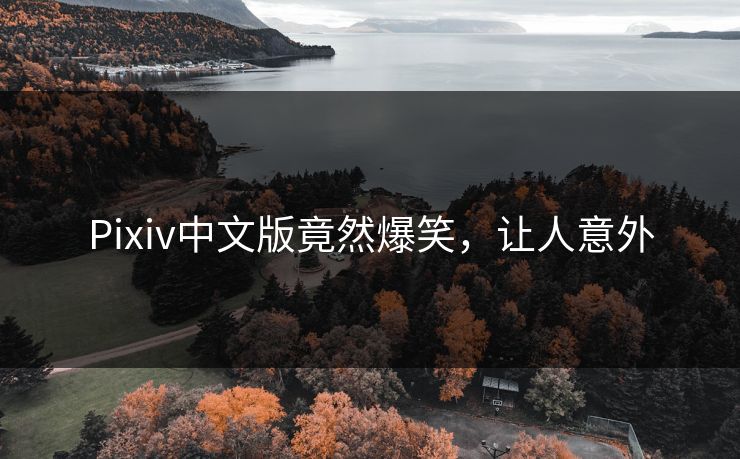 Pixiv中文版竟然爆笑，让人意外