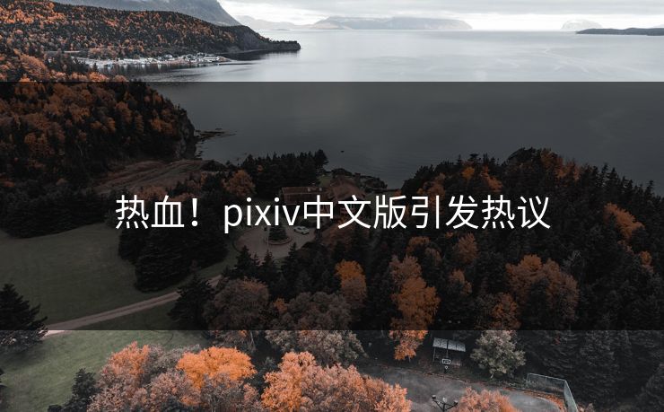 热血！pixiv中文版引发热议