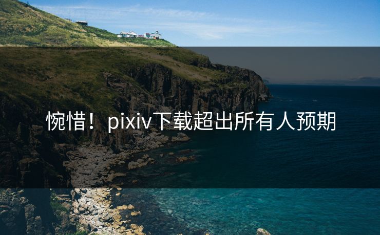 惋惜！pixiv下载超出所有人预期