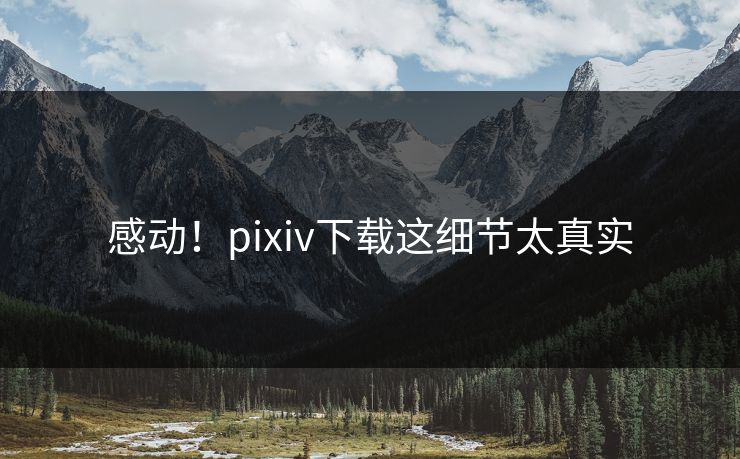 感动！pixiv下载这细节太真实