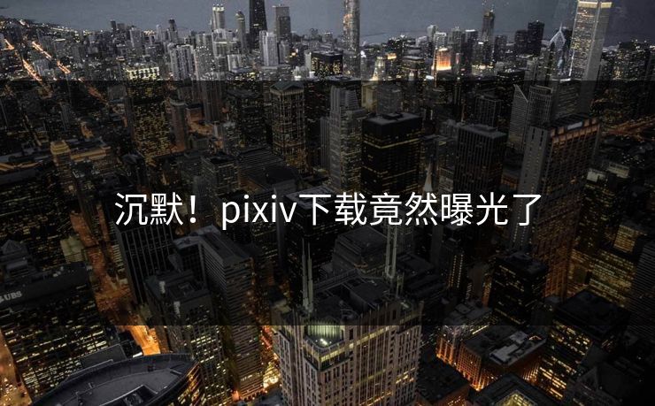 沉默！pixiv下载竟然曝光了