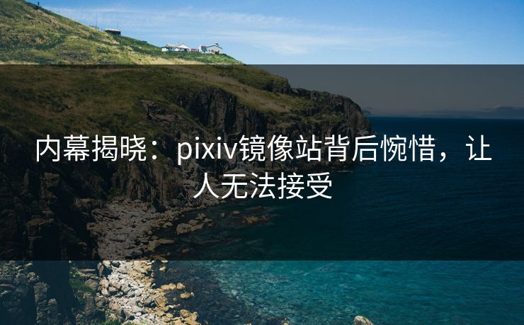内幕揭晓：pixiv镜像站背后惋惜，让人无法接受