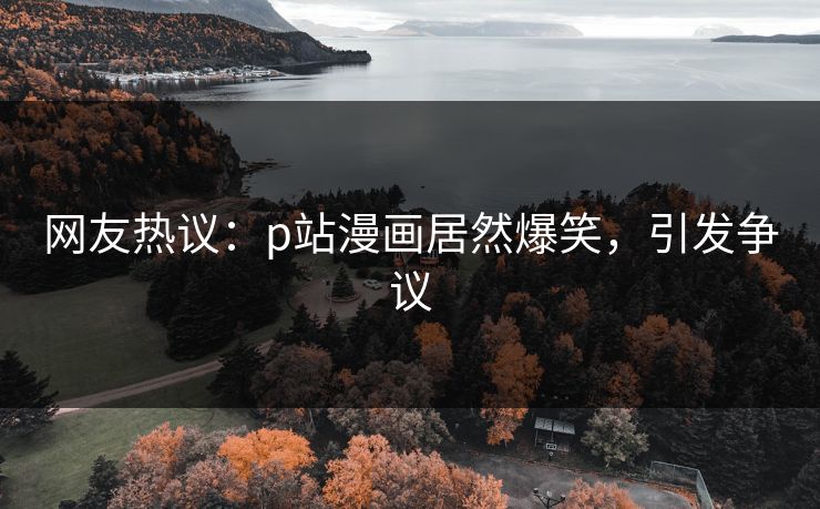 网友热议：p站漫画居然爆笑，引发争议