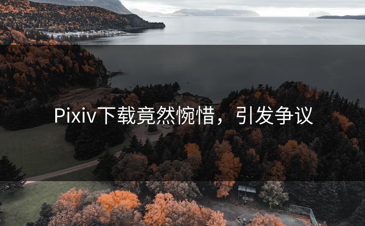 Pixiv下载竟然惋惜，引发争议