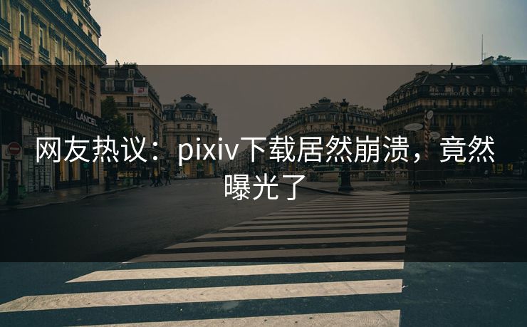 网友热议：pixiv下载居然崩溃，竟然曝光了