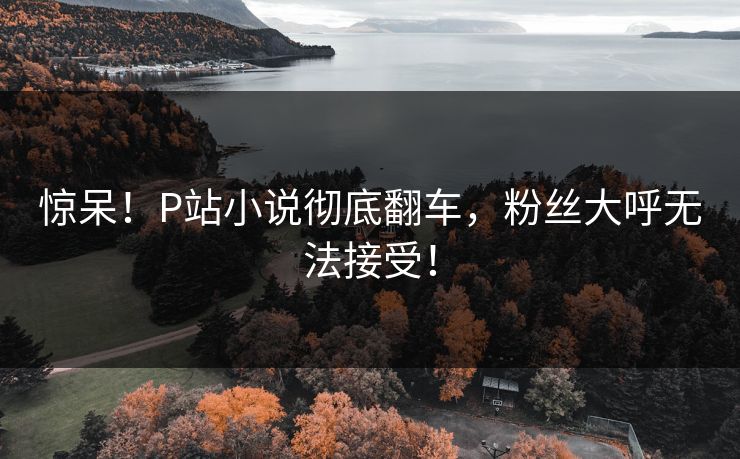 惊呆！P站小说彻底翻车，粉丝大呼无法接受！