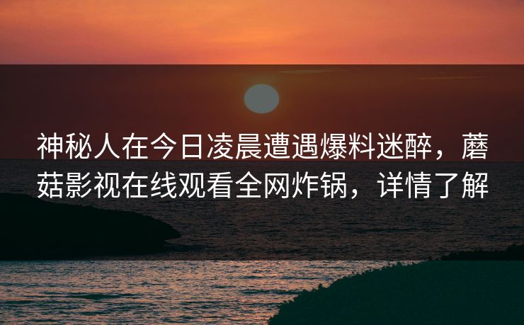 神秘人在今日凌晨遭遇爆料迷醉，蘑菇影视在线观看全网炸锅，详情了解