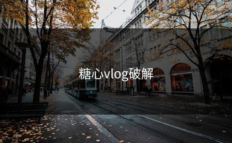 糖心vlog破解